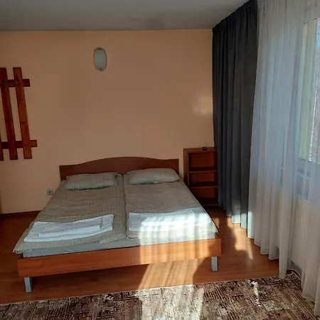 къща солунови Dobriniste