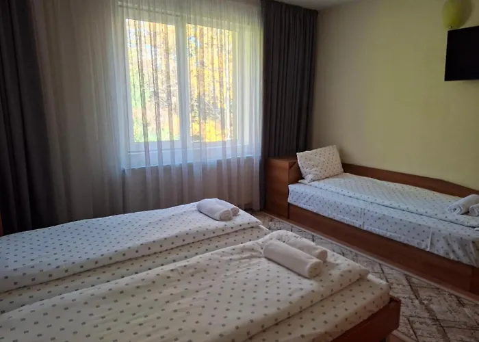 къща солунови Dobriniste